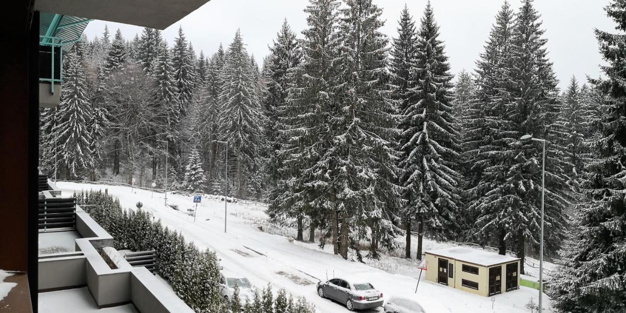 Silver Mountain A21 Friendly Apartment Poiana Brașov Zewnętrze zdjęcie
