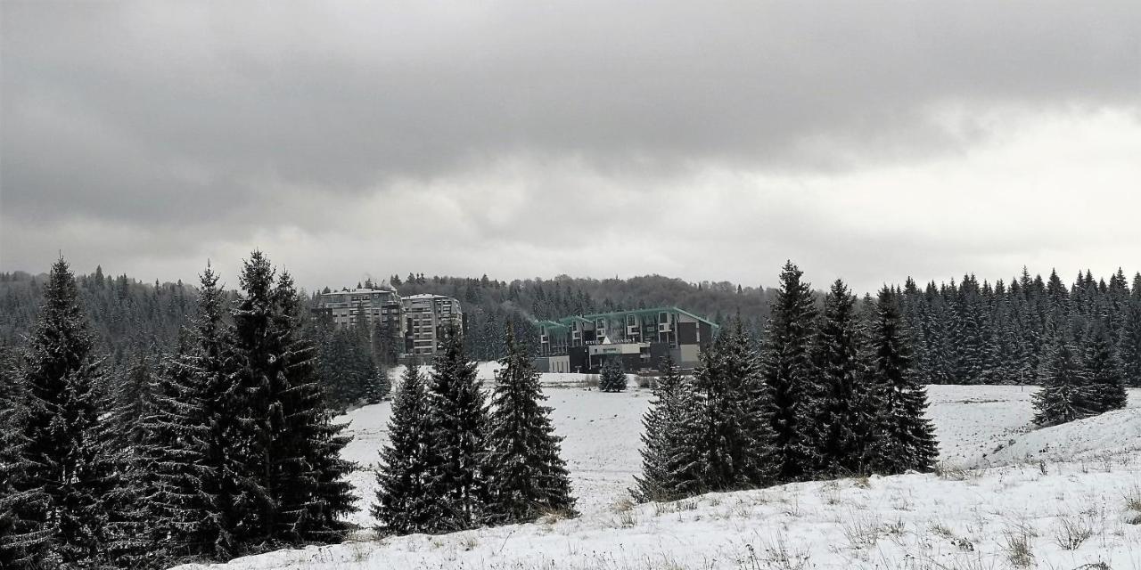 Silver Mountain A21 Friendly Apartment Poiana Brașov Zewnętrze zdjęcie