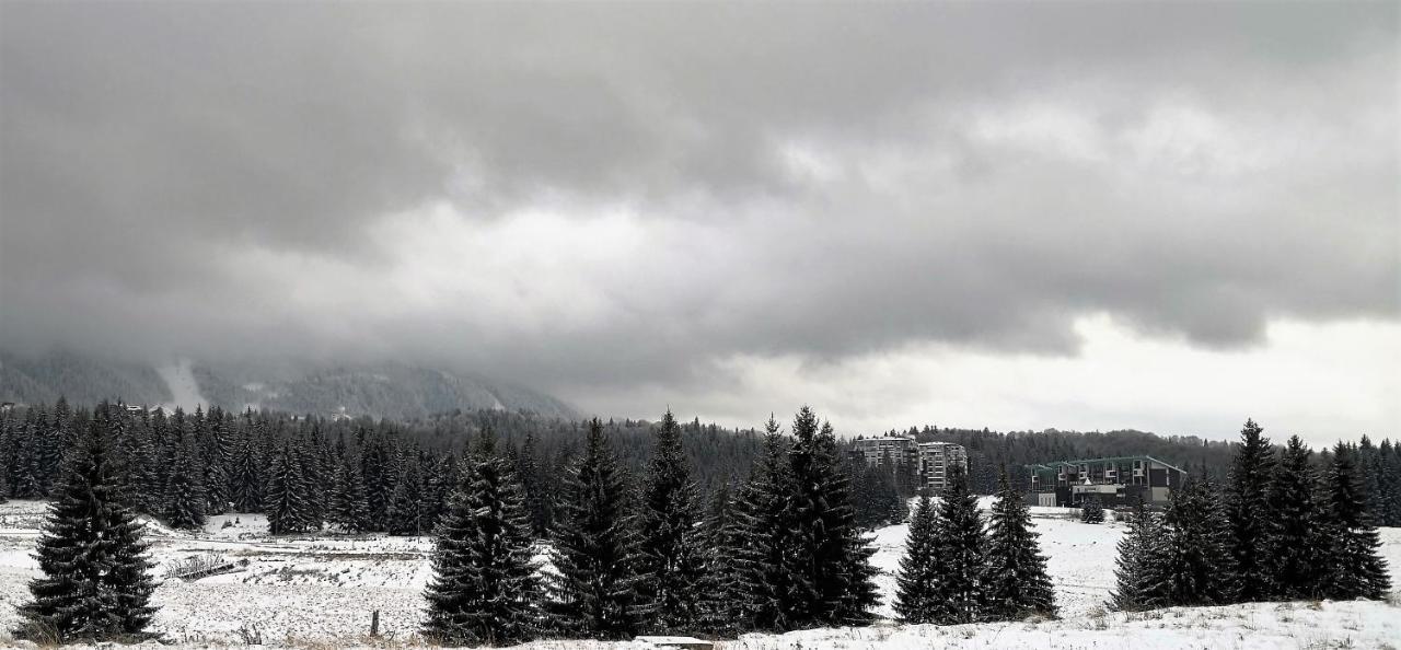 Silver Mountain A21 Friendly Apartment Poiana Brașov Zewnętrze zdjęcie