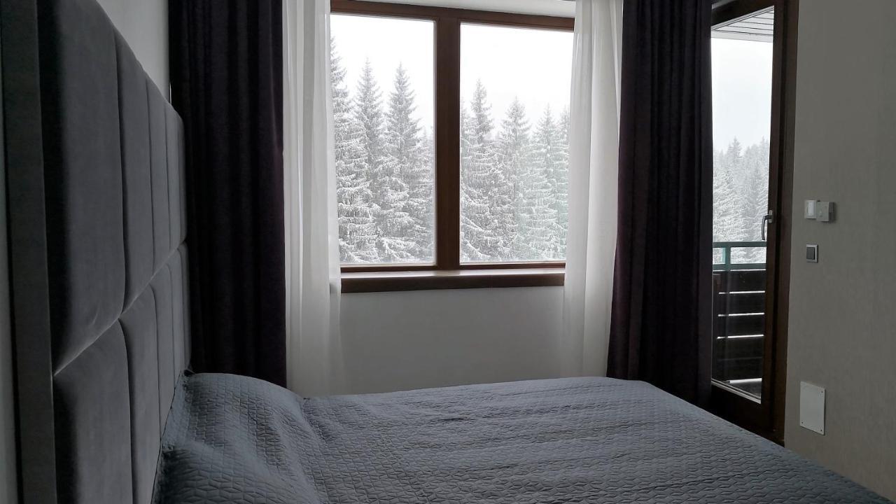 Silver Mountain A21 Friendly Apartment Poiana Brașov Zewnętrze zdjęcie